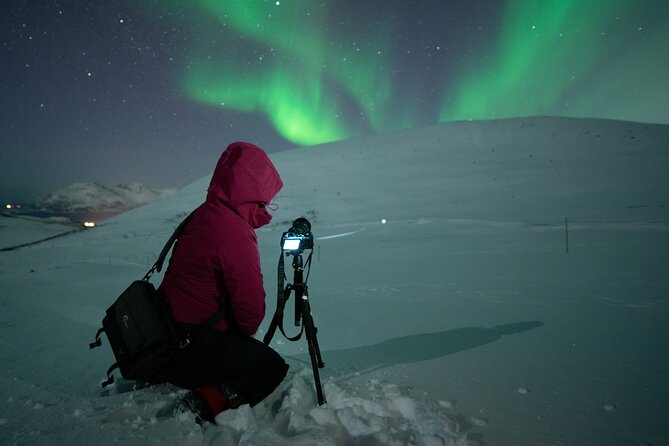 Tromsø: Express Aurora Hunt with Wandering Owl - What the viewing stop may really be like