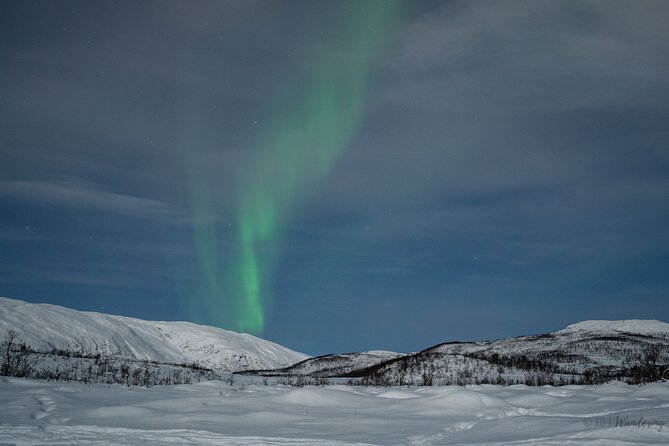Tromsø: Express Aurora Hunt with Wandering Owl - Warm drinks, snacks, and what to wear