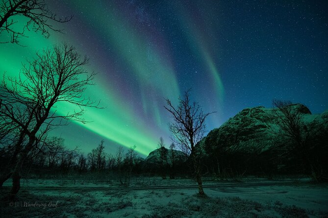 Tromsø: Express Aurora Hunt with Wandering Owl - Weather, luck, and realistic expectations