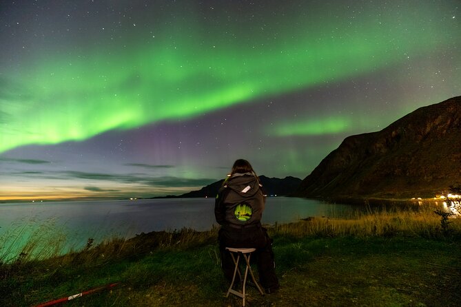 Tromsø Fjordland Aurora Chase Northern Lights by the Arctic Sea - Key things to know before you book