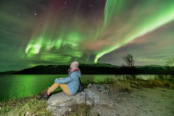 Tromsø Fjordland Aurora Chase Northern Lights by the Arctic Sea - Free aurora photography
