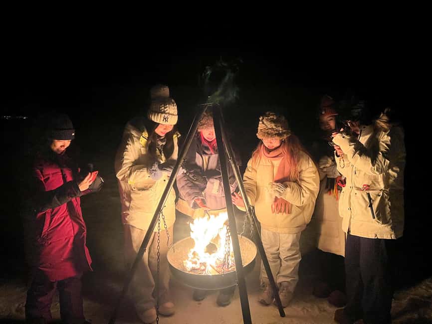 Tromsø: Full Night Magic of the Northern Lights - Dressing for Temperatures Down to Minus 30