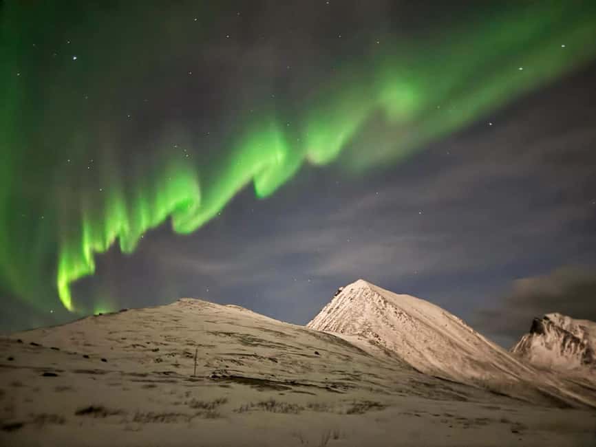 Tromsø: Full Night Magic of the Northern Lights - Who Should Book This Tour?