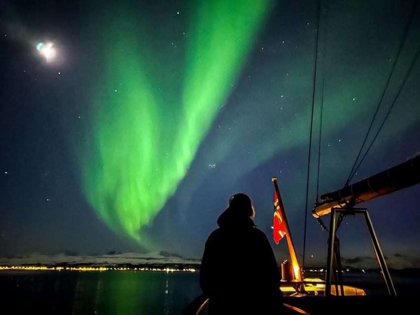 Tromso: Luxury Northern Lights Cruise with Hot Tub & Dinner - Should You Book Stella Oceana?