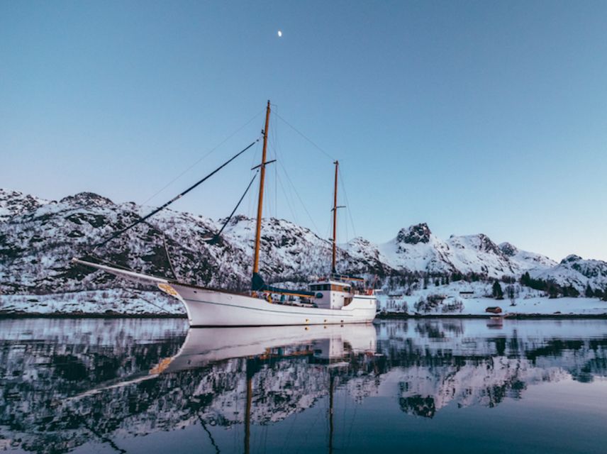 Tromso: Luxury Northern Lights Cruise with Hot Tub & Dinner - Reindeer Stew and Warm Drinks Below Deck