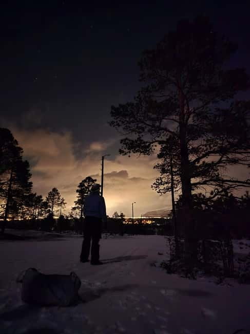 Tromsø: Northern Lights and a Starlit Adventure Tour - Who should book this Vikran outing?