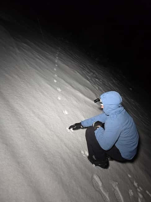Tromsø: Northern Lights and a Starlit Adventure Tour - A short hike that still feels properly Arctic