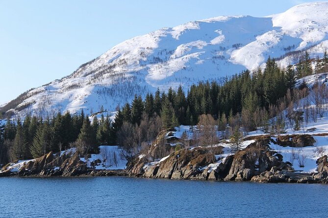 Tromsø, Northern Lights and Wilderness Evening Catamaran Cruise - The MS Rygerdronningen: comfort first, reach second