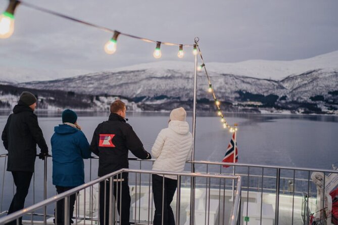 Tromsø, Northern Lights and Wilderness Evening Catamaran Cruise - Why the weather matters more than the boat