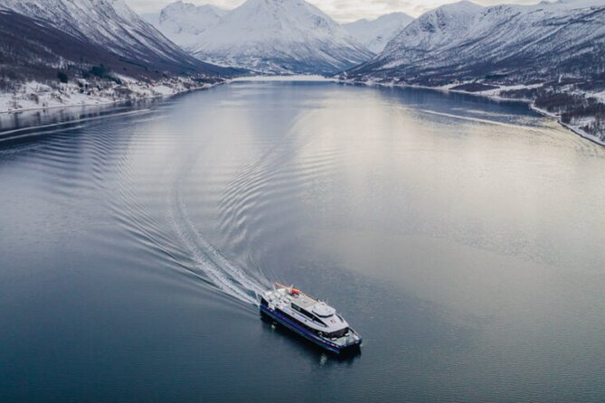 Tromsø, Northern Lights and Wilderness Evening Catamaran Cruise - Who should choose the catamaran?