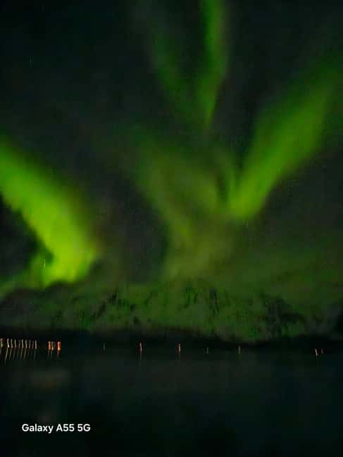 Tromsø: Northern Lights Bus Tour – Chase the Aurora Borealis - Booking details worth knowing