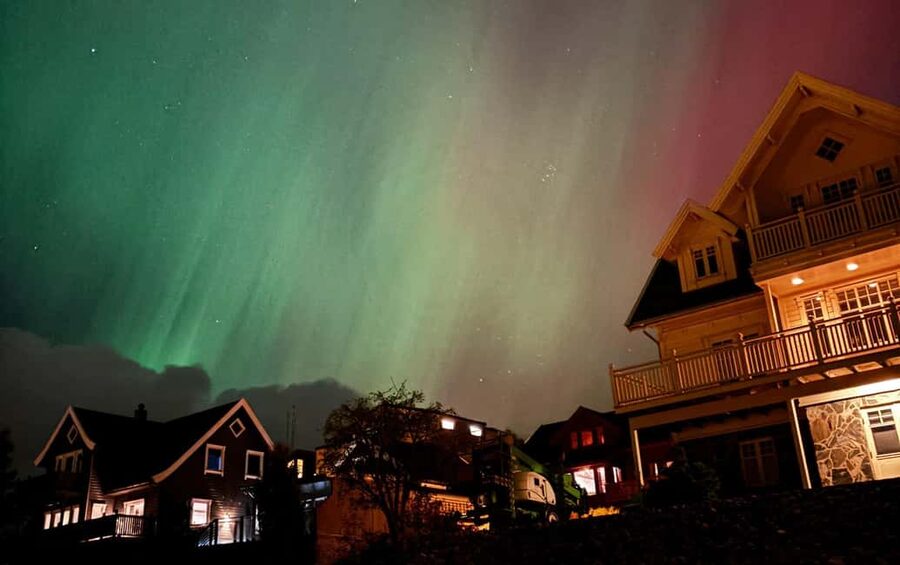 Tromsø: Northern Lights Bus Tour – Chase the Aurora Borealis - Following the forecast into the Arctic night