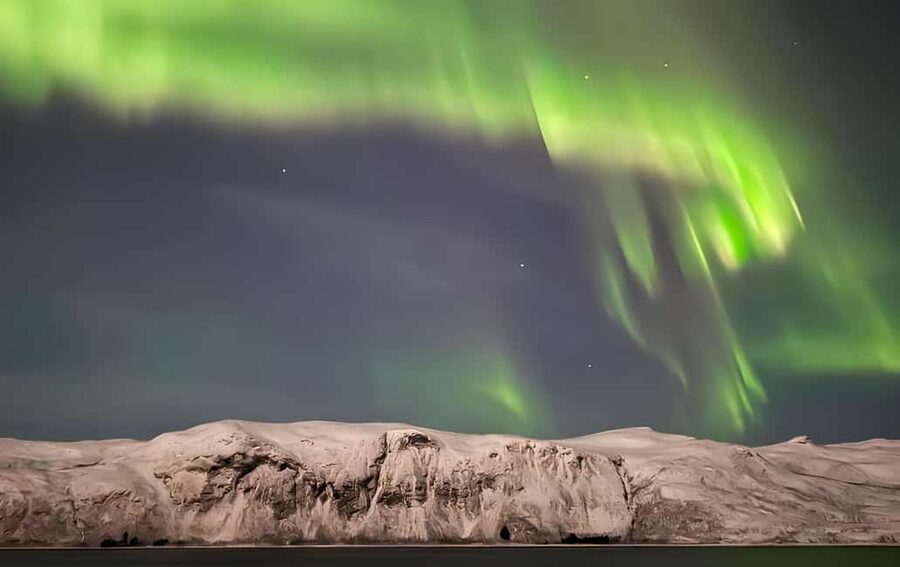 Tromsø: Northern Lights Bus Tour with Free Photography - What happens when the lights appear