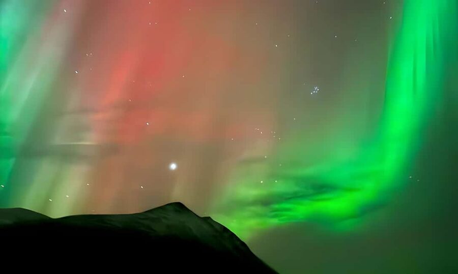 Tromsø: Northern Lights Bus Tour with Free Photography - Who should book this Tromsø aurora tour?