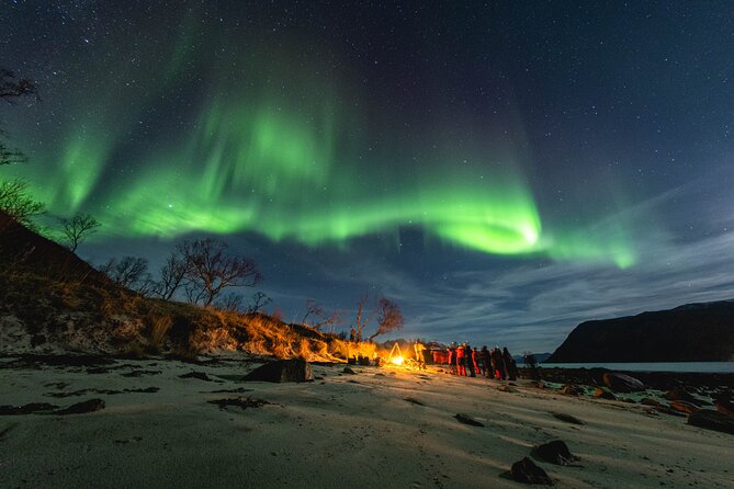 Tromsø: Northern Lights by Minibus - Free Photos and Warm Dinner - Key points to know before booking