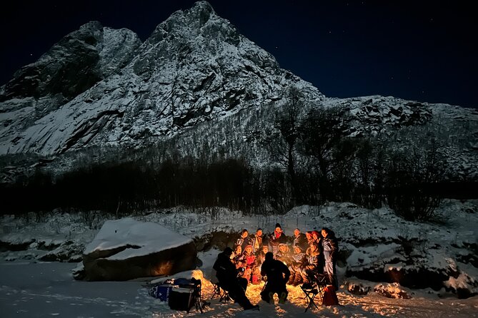 Tromsø: Northern Lights by Minibus - Free Photos and Warm Dinner - How good is the chance of seeing the aurora?