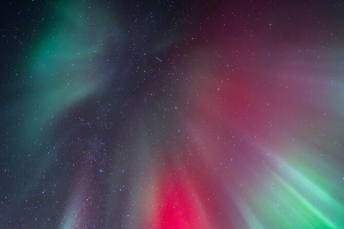 Tromsø: Northern Lights by Minibus - Free Photos and Warm Dinner - Is $237.43 a fair price?