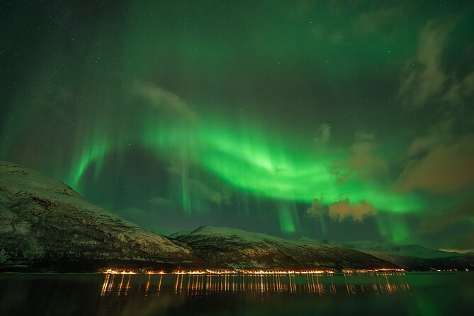 Tromsø: Northern Lights by Minibus - Free Photos and Warm Dinner - Who will enjoy this Tromsø tour most?