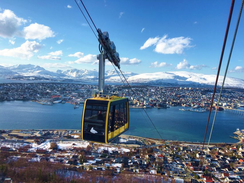 Tromso: Northern Lights Cable Car Excursion - Waiting for the Northern Lights