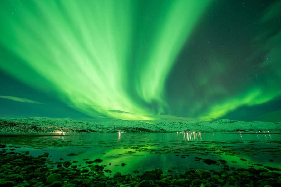 Tromsø: Northern Lights Chase, Local Guide, Foods & Pictures - Key points to know before you book