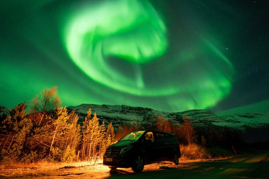 Tromsø: Northern Lights Chase, Local Guide, Foods & Pictures - What the guide adds to the night