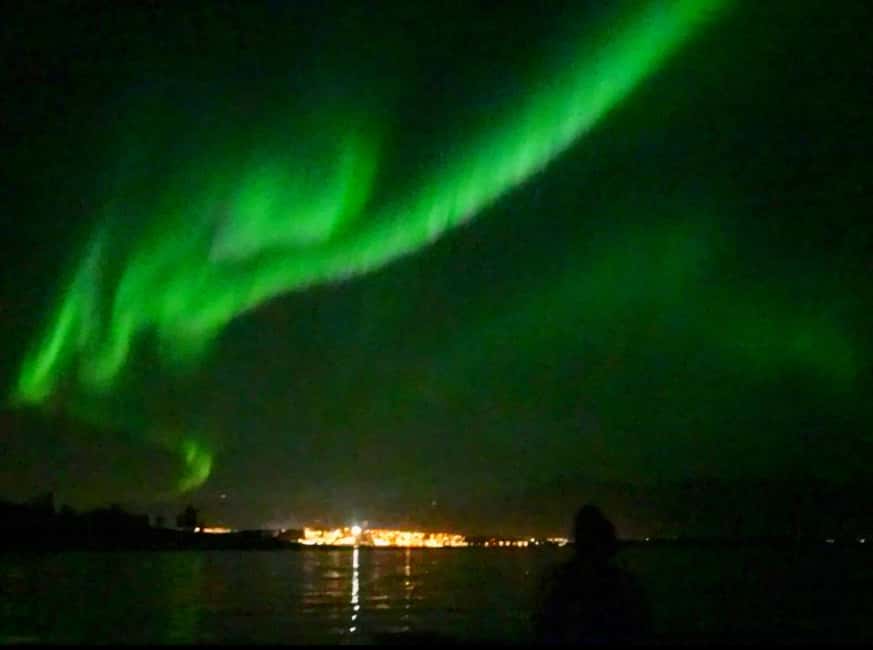 Tromsø: Northern Lights Chase — Small Group Experience - Why a seven-person minivan changes the night