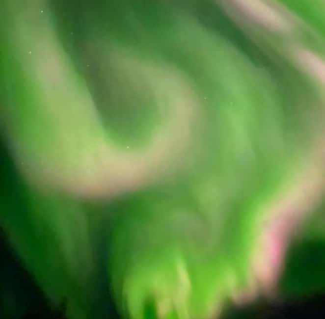 Tromsø: Northern Lights Chase — Small Group Experience - Why the guide matters more than the vehicle
