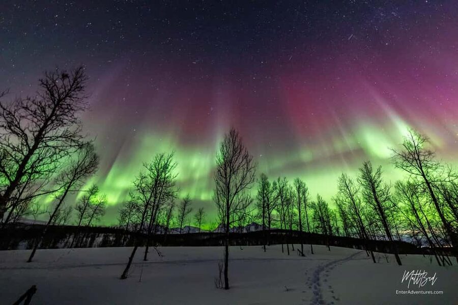 Tromsø: Northern Lights Chase with Expert Guides & Photos - Group size, comfort, and the feel of the evening