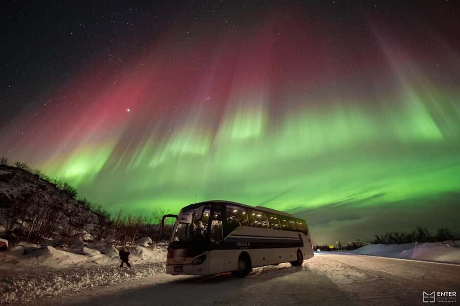 Tromsø: Northern Lights Chase with Expert Guides & Photos - What the bus adds to the chase