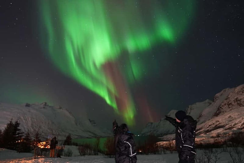 Tromsø: Northern Lights Chase with Local Guide & Free Photos - What waiting under the Aurora feels like