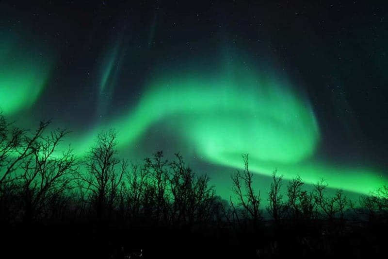 Tromsø: Northern Lights Chase with Local Guide & Free Photos - Who should book this experience?