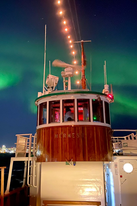 Tromsø: Northern Lights Dinner Cruise - A local dinner from Dragøy