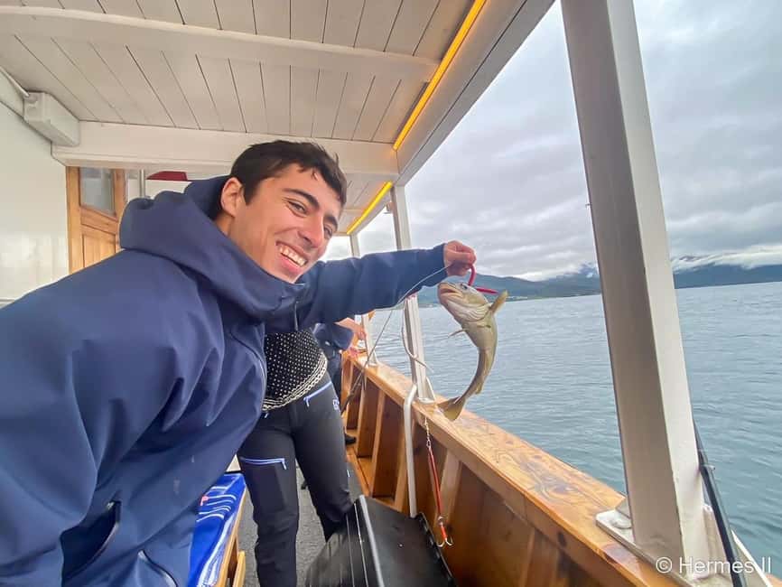 Tromsø: Northern Lights Dinner Cruise - Is $198 a fair price?