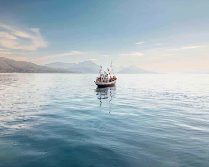 Tromsø: Northern Lights Dinner Cruise - A 1917 boat with a working story