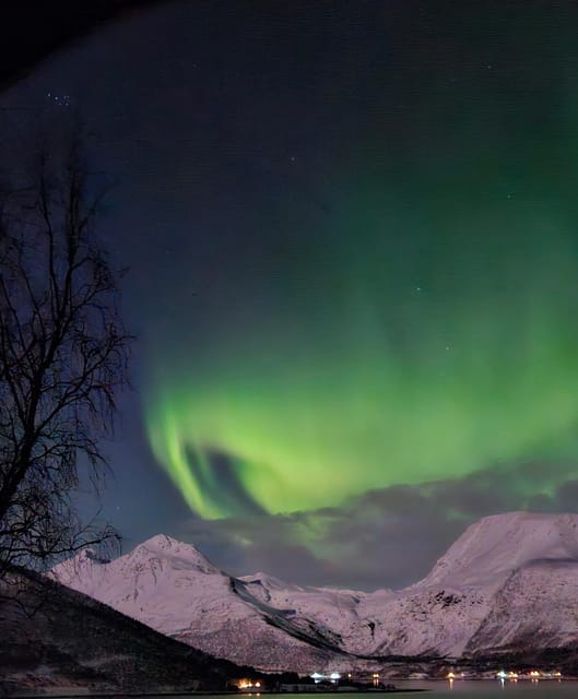 Tromsø: Northern Lights Hunt. Local Guide and Basecamp. - Four hours in Troms County