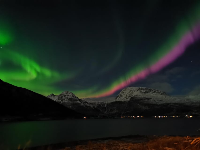 Tromsø: Northern Lights Hunt. Local Guide and Basecamp. - The return drive to Tromsø