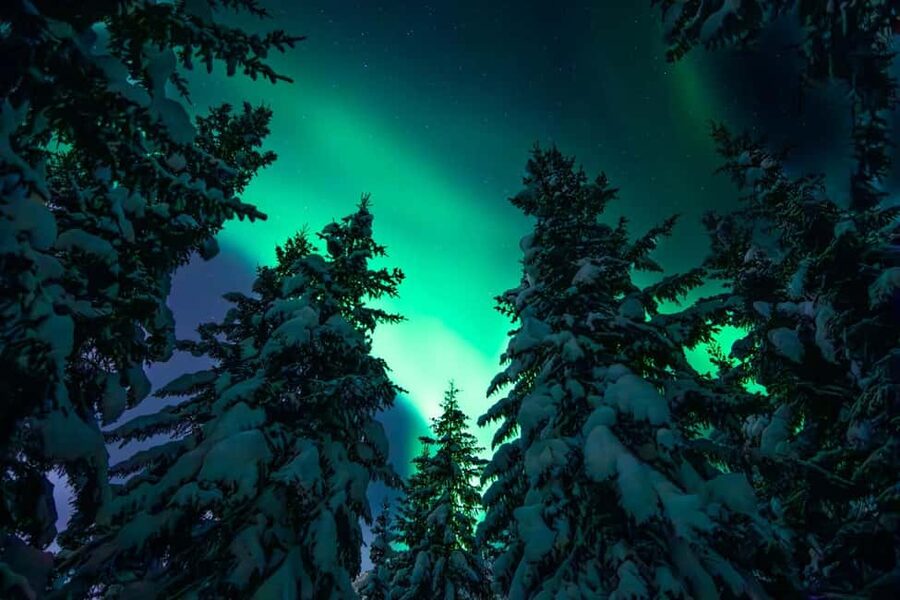 Tromsø: Northern Lights Hunt with a Professional Photographer in Spanish - Waiting under the Arctic sky