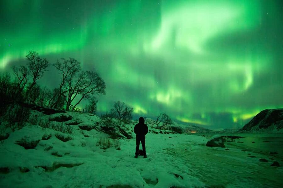 Tromsø: Northern Lights Hunt with a Professional Photographer in Spanish - Value, timing, and cancellation flexibility