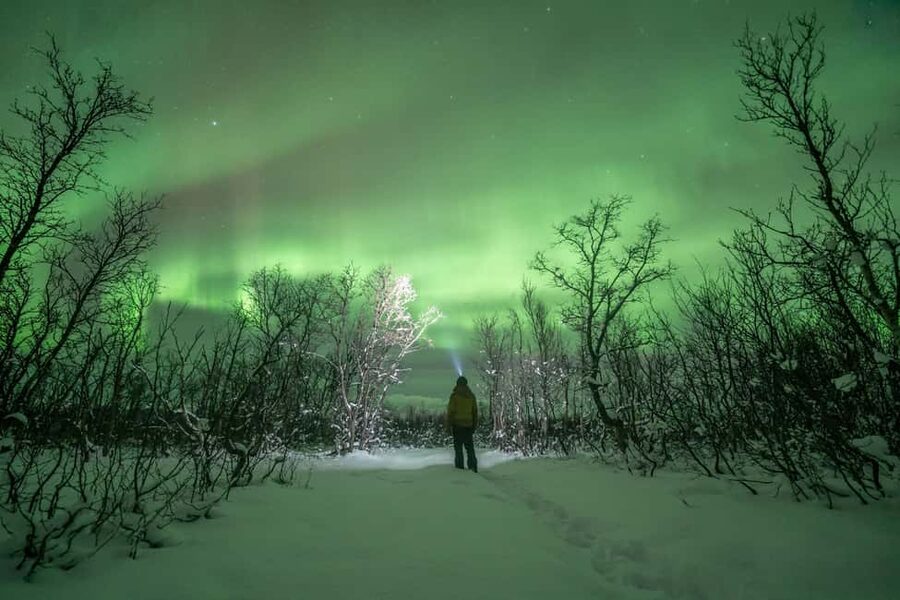 Tromsø: Northern Lights Hunt with Photos and Hot Food - Professional portraits and camera help