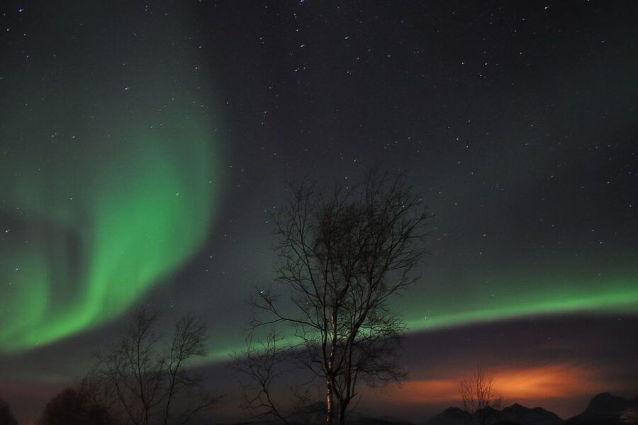 Tromsø: Northern Lights Husky Visit with Traditional Dinner - At a Glance
