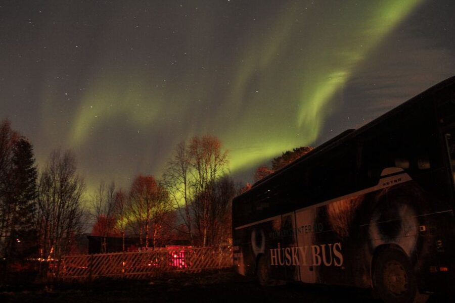 Tromsø: Northern Lights Husky Visit with Traditional Dinner - Who Will Enjoy This Evening Most