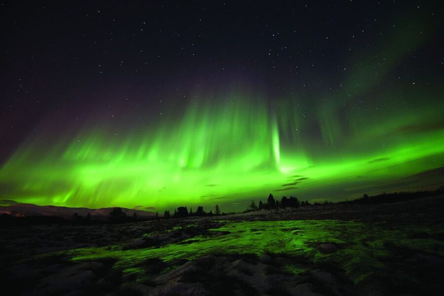 Tromsø: Northern Lights Husky Visit with Traditional Dinner - FAQ