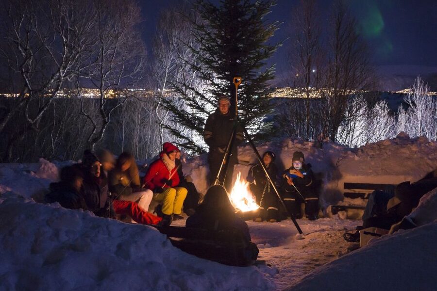 Tromsø: Northern Lights Husky Visit with Traditional Dinner - Howling Dogs, Puppies, and a Working Camp