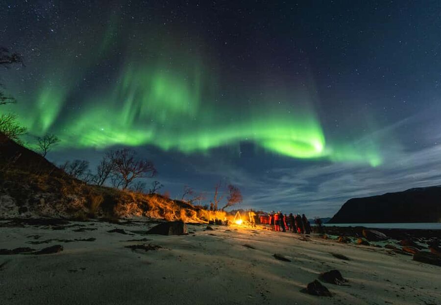 Tromsø: Northern Lights in a Minivan with Free Photos and a Hot Meal - The Best Parts of the Night