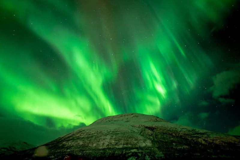 Tromsø: Northern Lights in a Minivan with Free Photos and a Hot Meal - Who Will Get the Most From This Tour