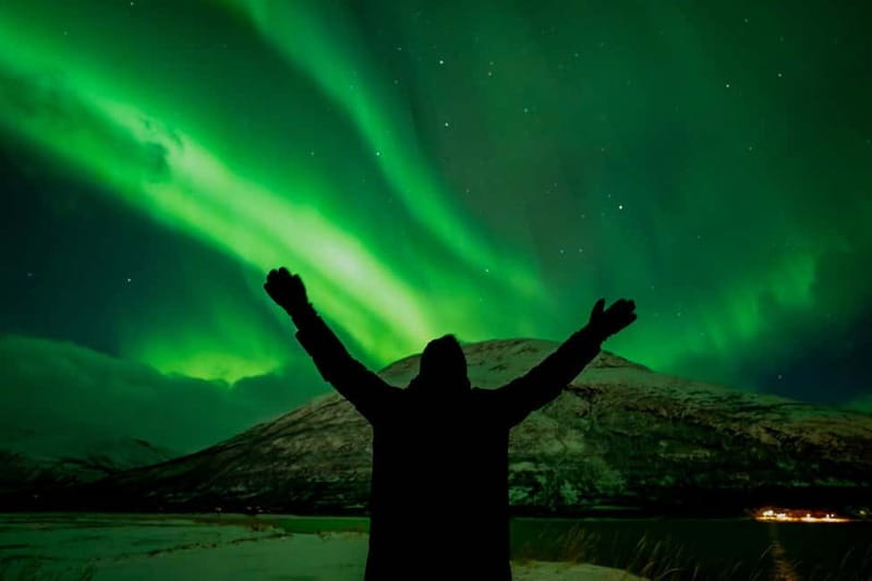 Tromsø: Northern Lights in a Minivan with Free Photos and a Hot Meal - Is $213 a Fair Price?