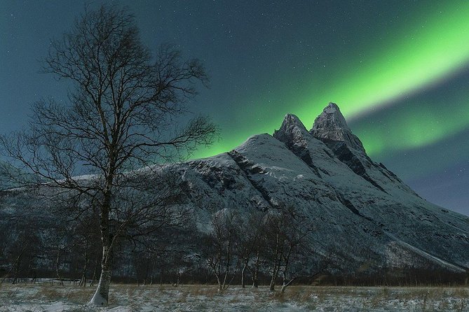 Tromso Northern Lights Minibus Chase Small Group Tour with Photos - Who should book this Northern Lights tour