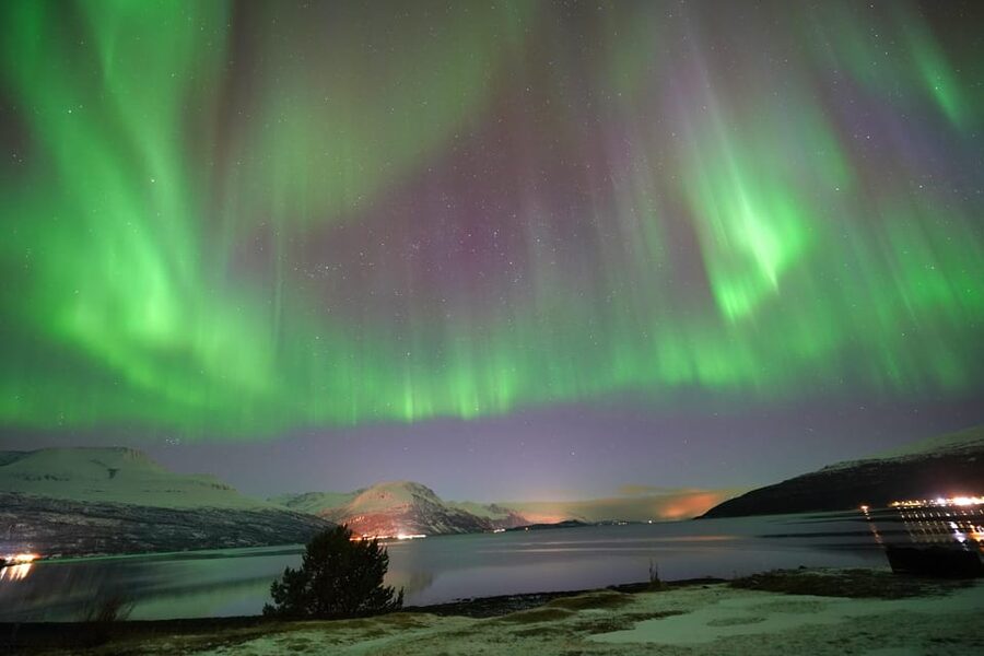 Tromso: Northern Lights Minibus Tour with Campfire - Chasing clear skies beyond Tromsø