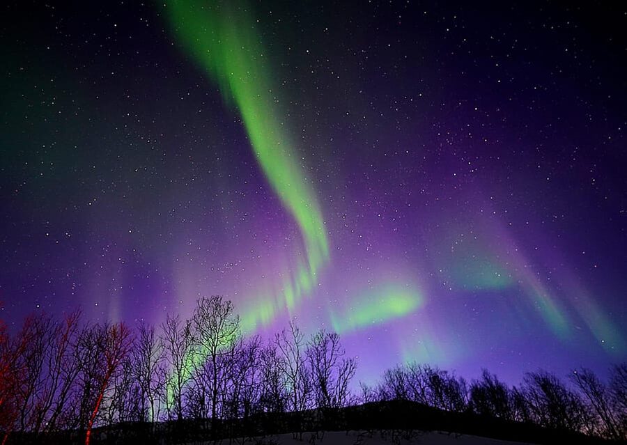 Tromso: Northern Lights Minibus Tour with Campfire - From the city center to the first dark stop