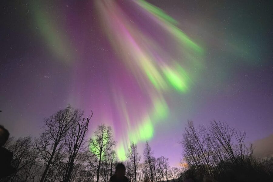 Tromso: Northern Lights Minibus Tour with Campfire - Campfire food and a warm Arctic pause